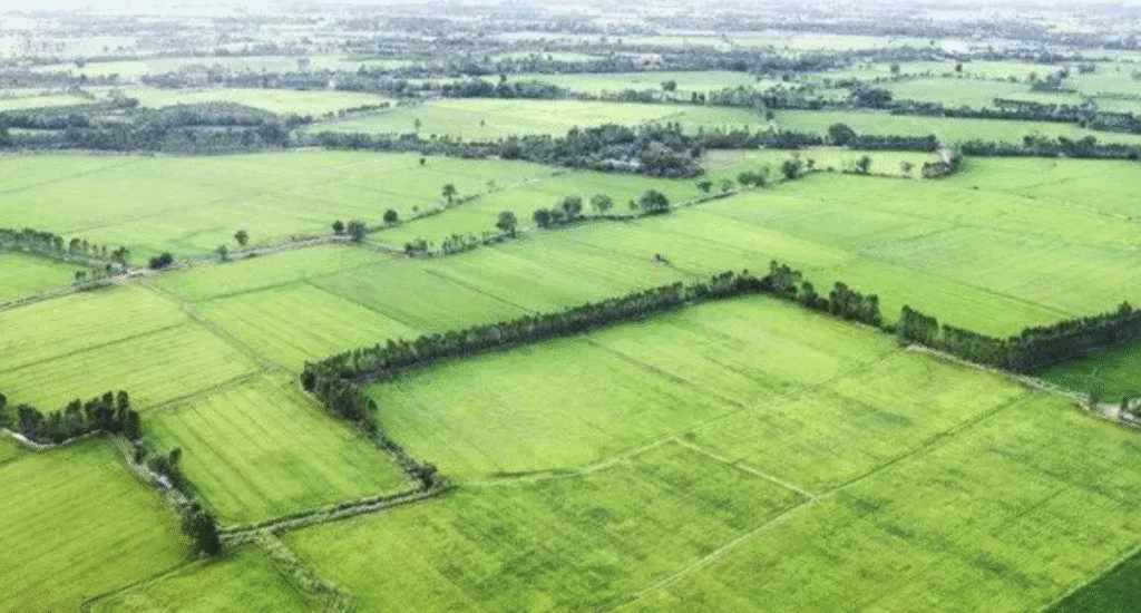 Commercial Land in 35510 Butzbach – Developed, Unbuilt Site ~5,328 m² for Trade or Development